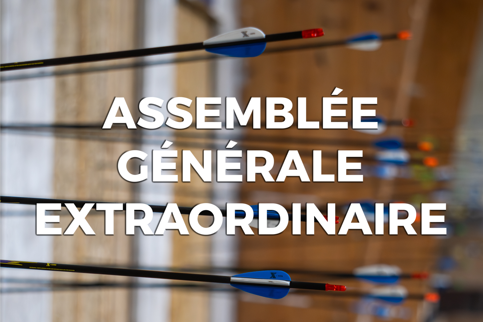Assemblée générale extraordinaire
